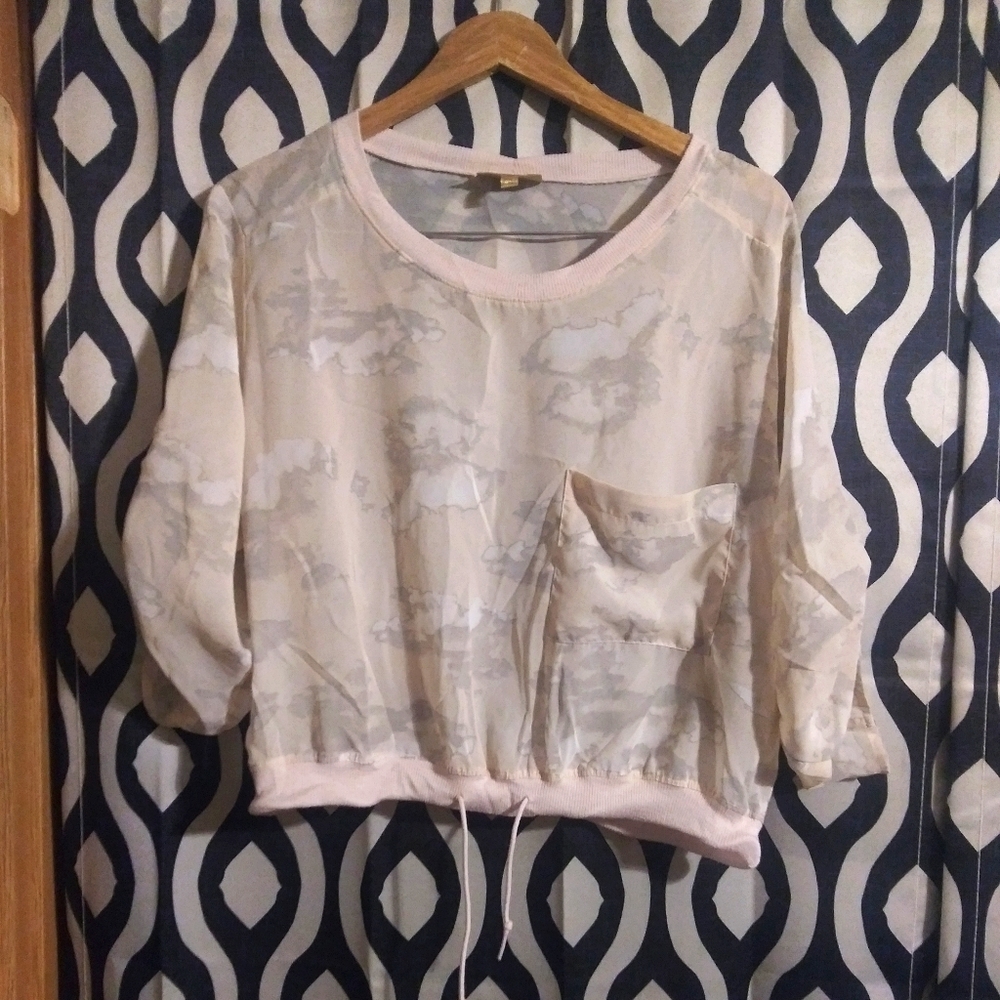 Sheer cropped blouse